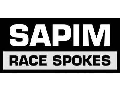 Sapim Race 14g Black Spokes 270–310mm